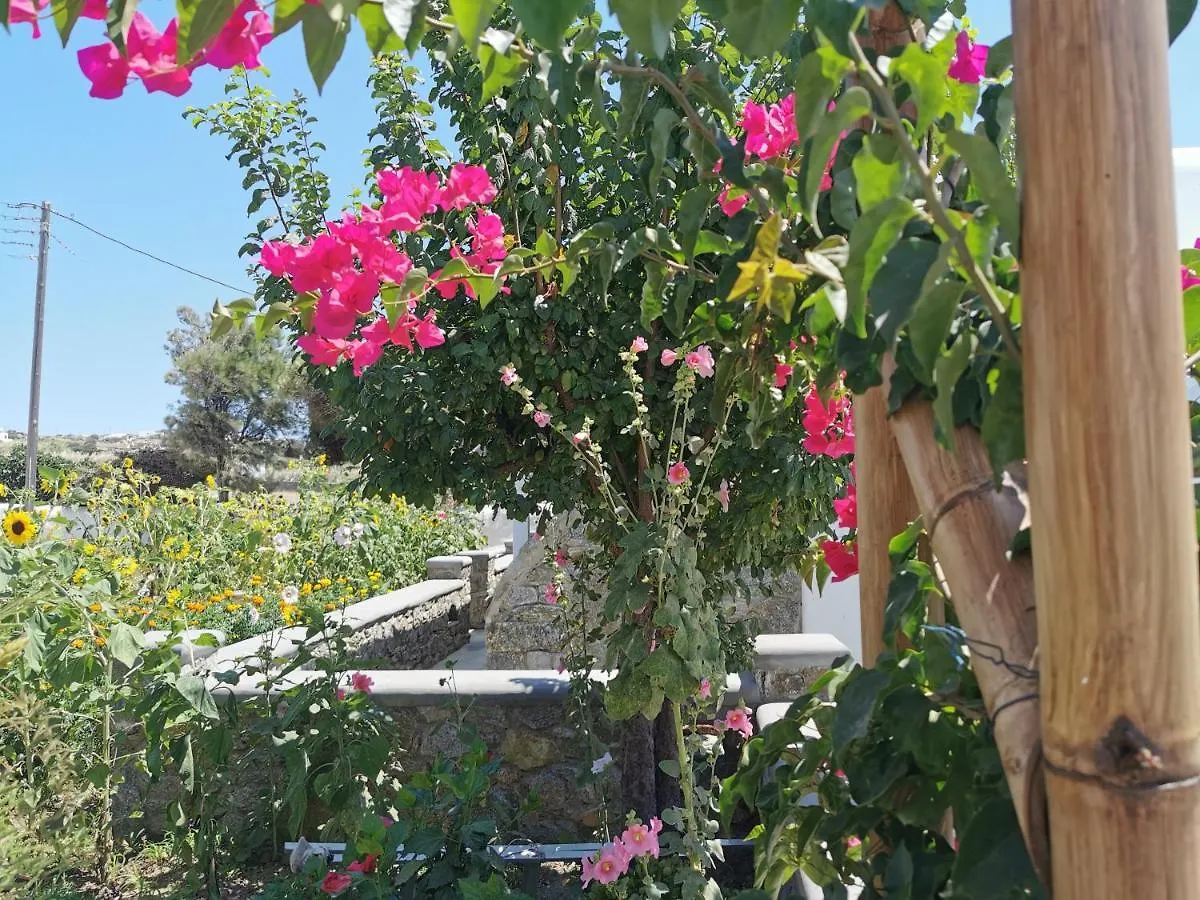 Anais Aparthotel Mykonos Town 0*,  Greece
